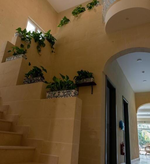 تختخواب و صبحانه The Carob Tree