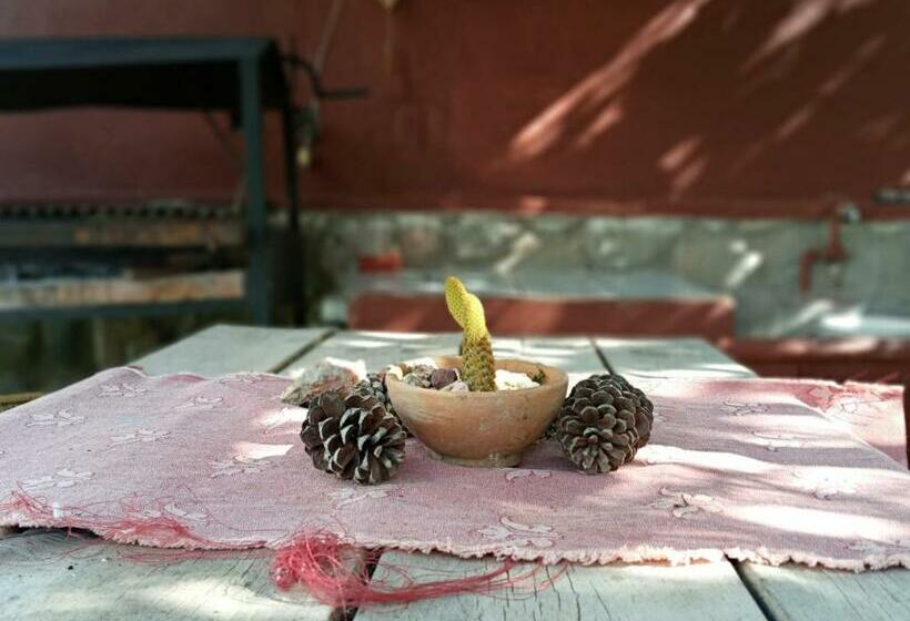 تختخواب و صبحانه La Casa De Susana