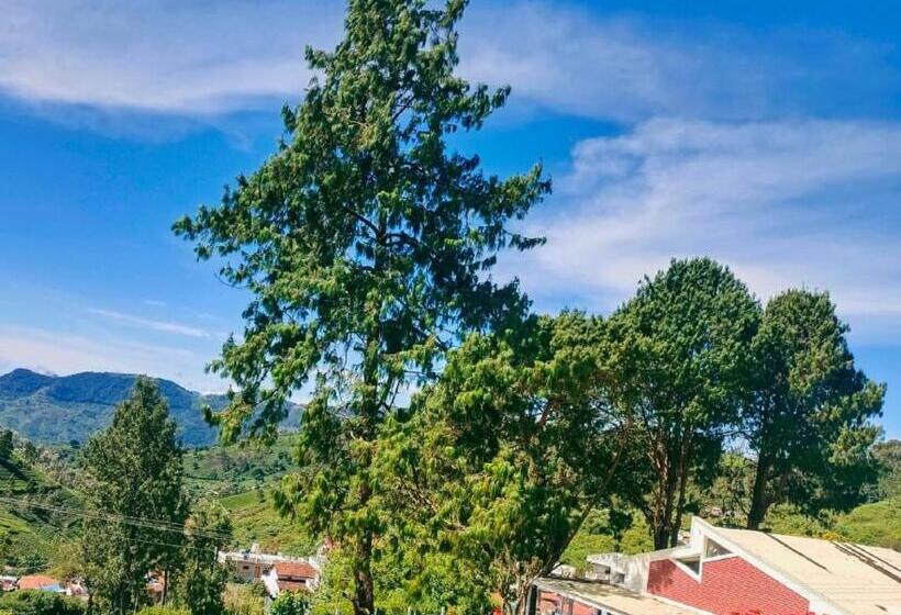 住宿加早餐  Nilgiris Inn By Lexstays Kotagiri, Ooty