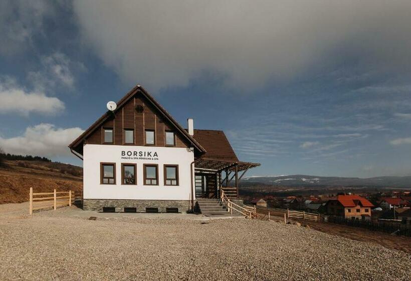 Borsika Pensiune & Spa