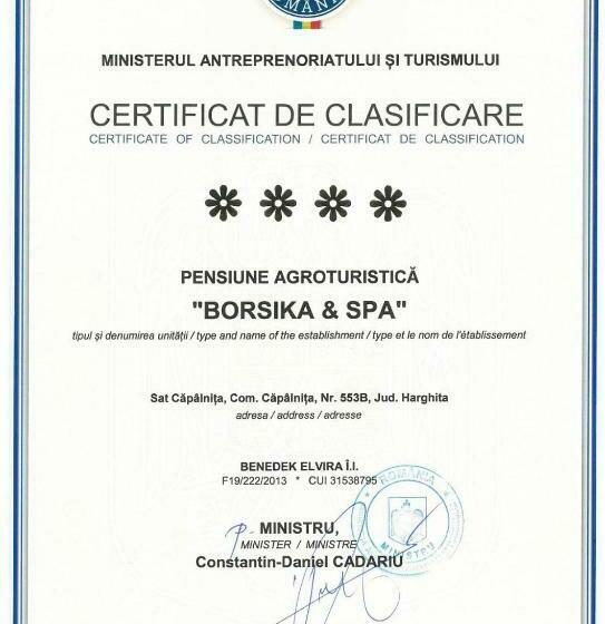 Borsika Pensiune & Spa