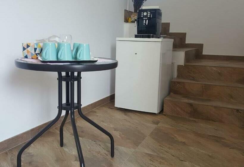 膳宿费 Casa Sura Sasilor