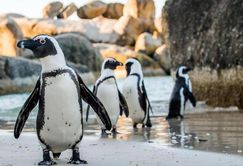 Boulders Blue Bed And Breakfast