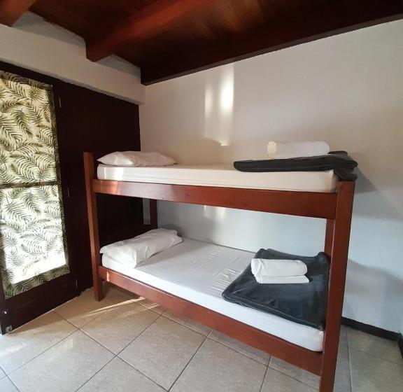 酒店 Pousada Das Palmeiras