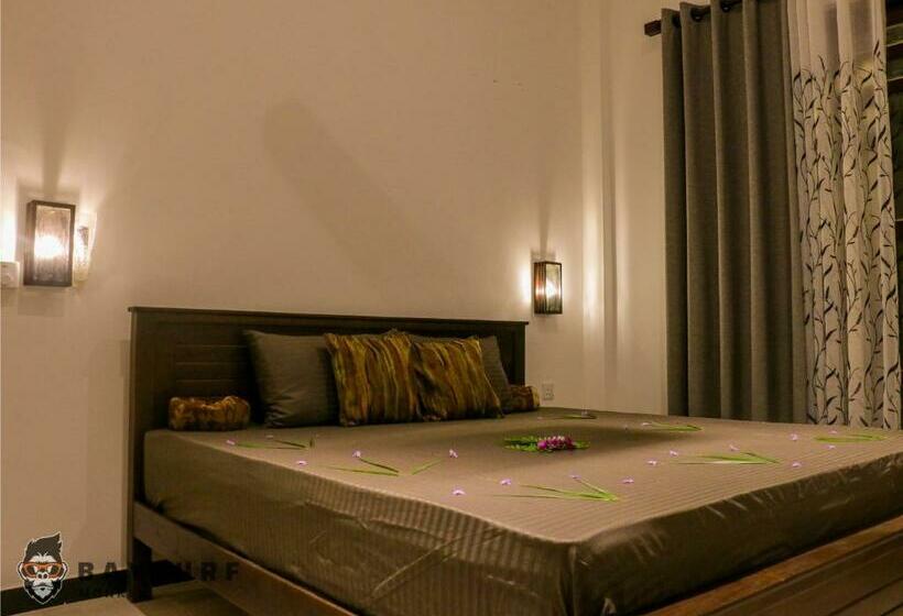 פנסיון Bay Surf Monkey