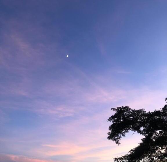 פנסיון Sherpas Enclave