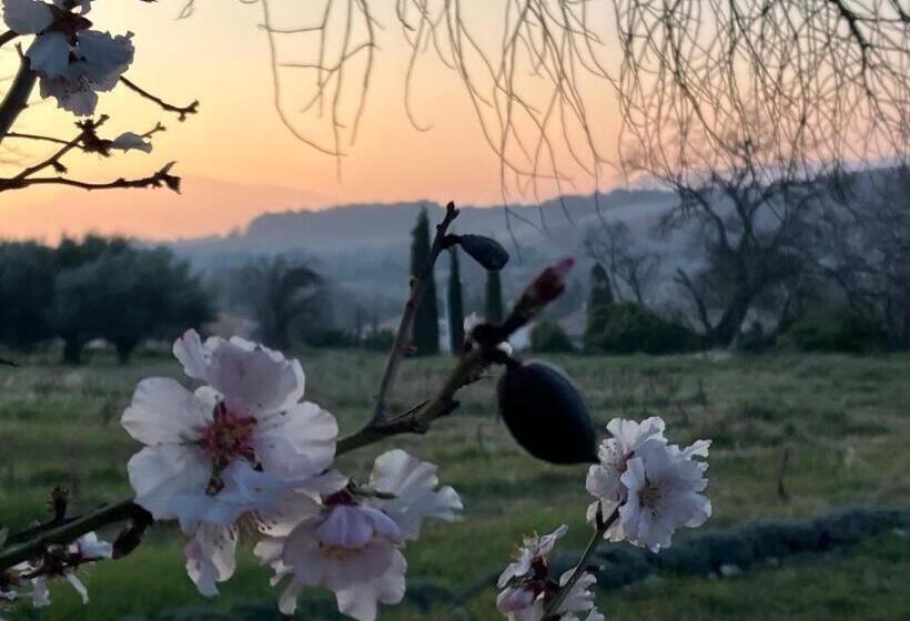 ベッドアンドブレックファースト Gite Belle Vue