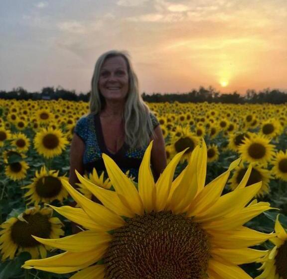 ベッドアンドブレックファースト Gite Belle Vue