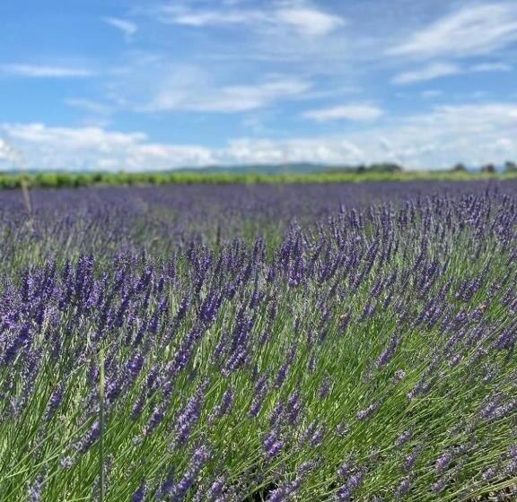 ベッドアンドブレックファースト Gite Belle Vue