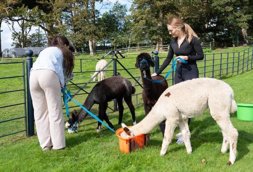 Gileston Manor Luxury B&b