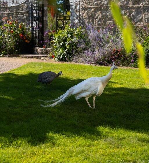 Gileston Manor Luxury B&b