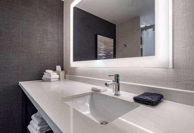 Cambria Hotel Minneapolis Downtown