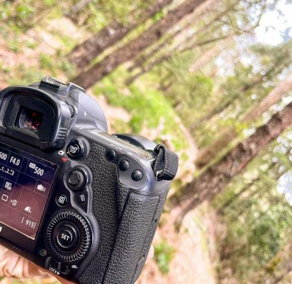 Отель Notre Dame D Arcadia