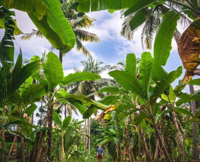 فندق Secret Paradise