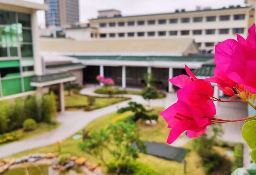 호텔 White Swan Guest House