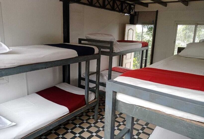 Oxygen Rainforest Resort