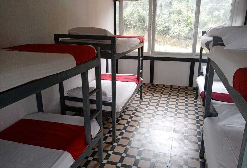 Oxygen Rainforest Resort