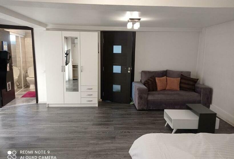 פנסיון Casa Vladimirescu