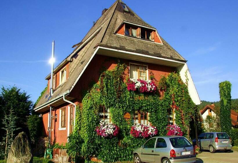 بنسيون Haus Am Tannenhain