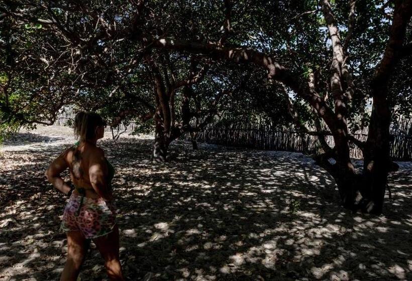 住宿加早餐 Tatajuba Hostel Casa Pascual