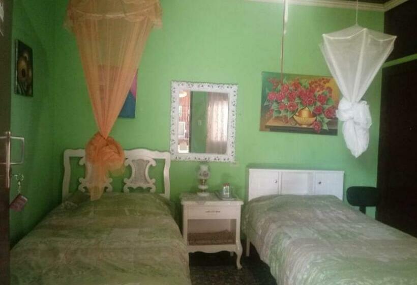 بنسيون Central Park Vega