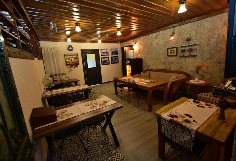 פנסיון Olivia1845 Guest House Ayvalık