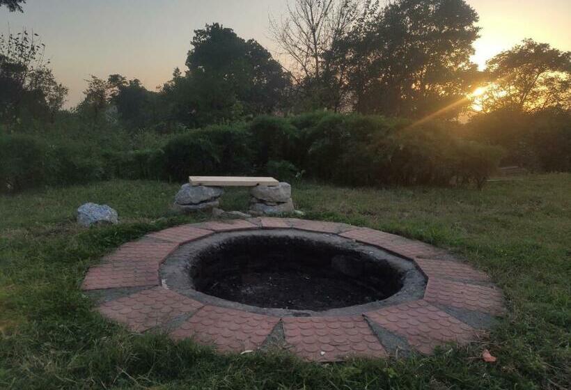 渡假胜地 The Hidden Garden Bir