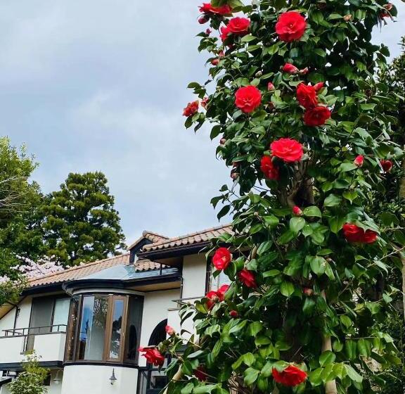 地中海の家