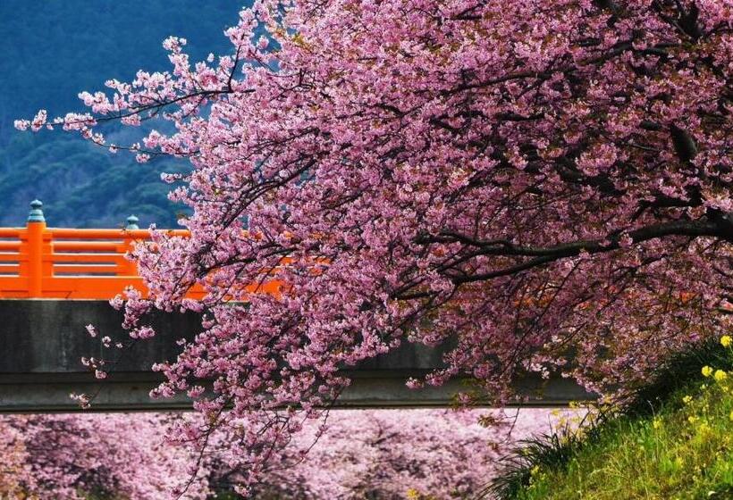 地中海の家