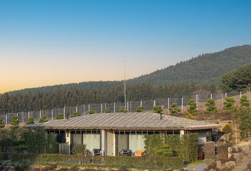 Amber Pure Hill Hotels & Resorts Jeju