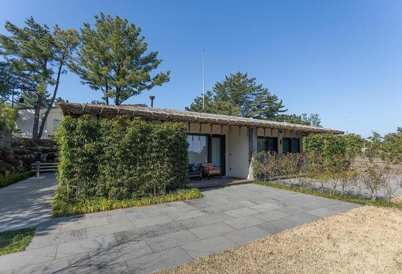 Amber Pure Hill Hotels & Resorts Jeju