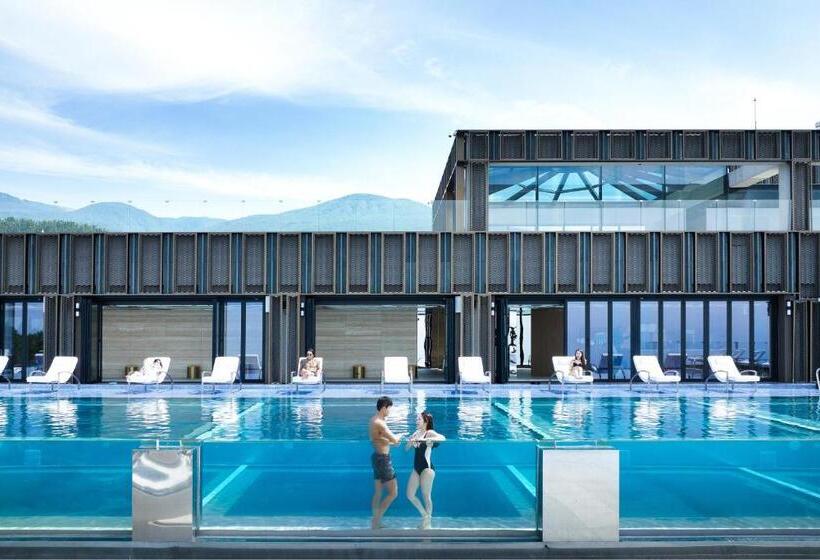 Amber Pure Hill Hotels & Resorts Jeju