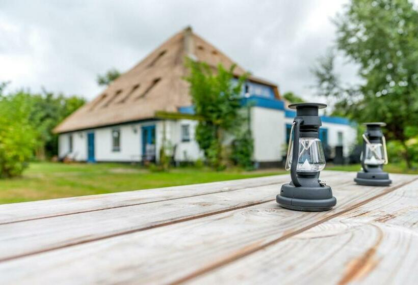 B&b De Oude Skuur