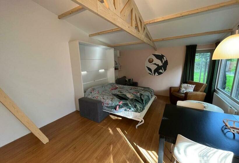 住宿加早餐 Zwols Groen