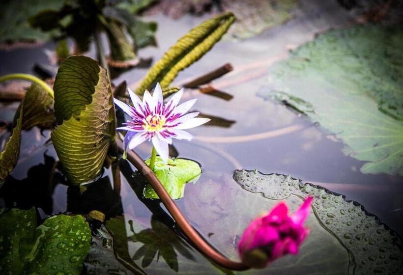 ホテル Infinity Of Sri Lanka