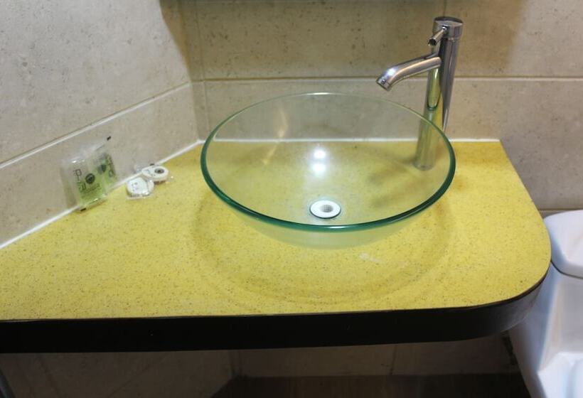 هتل Sonno Plaza Allende