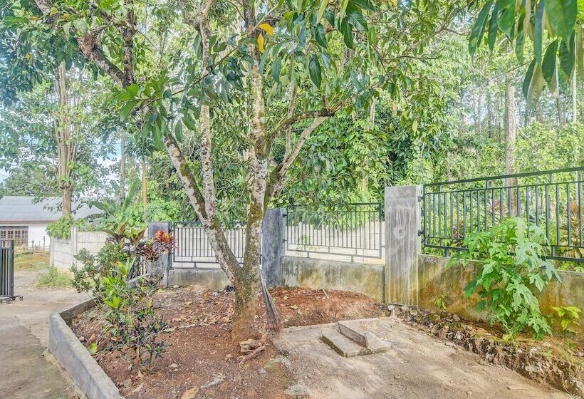 Отель Spot On 91799 Sosonopan Homestay