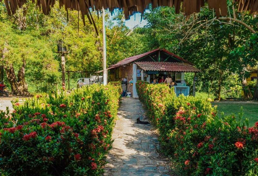 פנסיון Jaba Jan Hostal