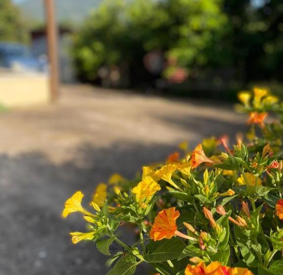 פנסיון Mezzaluna Guest House