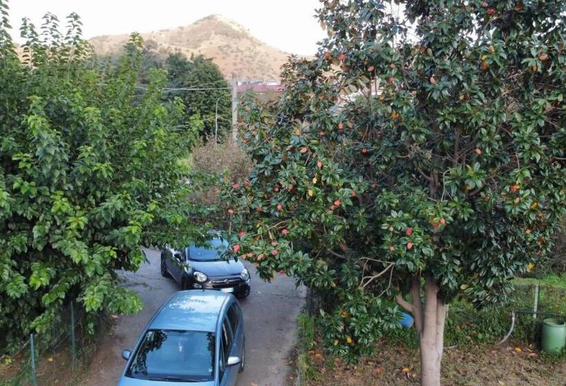 פנסיון Mezzaluna Guest House