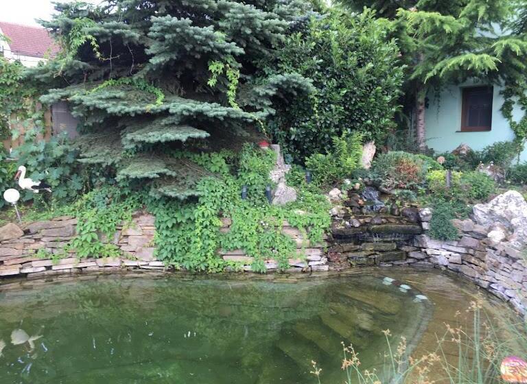 פנסיון Na úpatí Pálavy