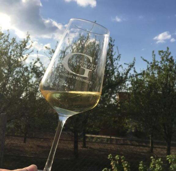 פנסיון Na úpatí Pálavy