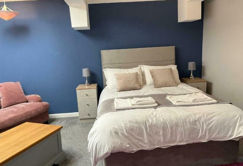 مبيت وإفطار Y Teifi Room Only