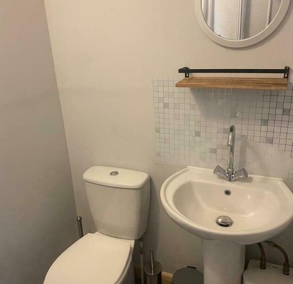 مبيت وإفطار Y Teifi Room Only