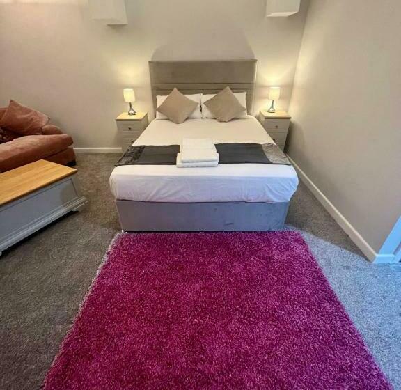 مبيت وإفطار Y Teifi Room Only