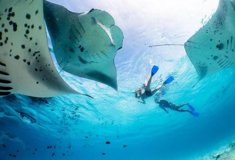 هتل Casaparadiso   Beach View