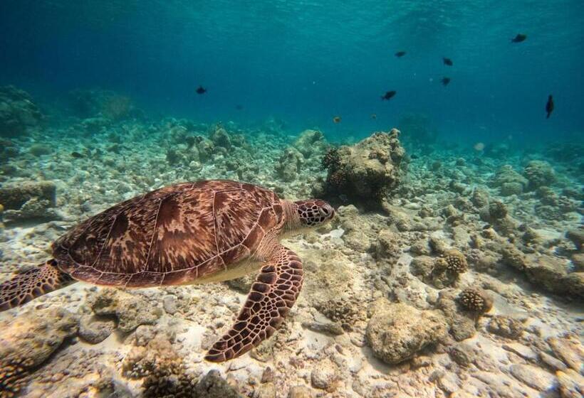 هتل Casaparadiso   Beach View