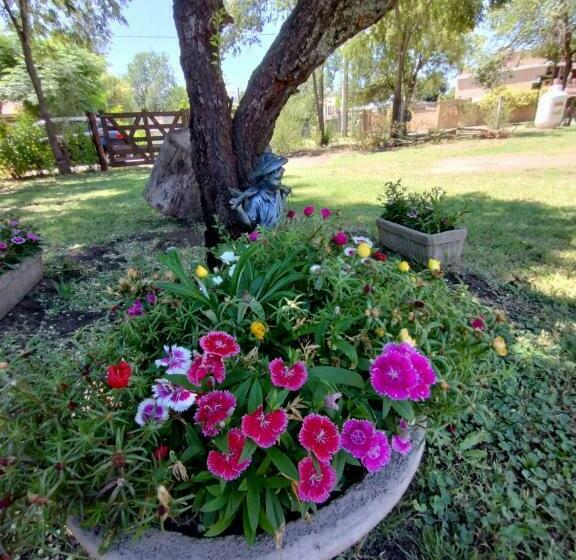 膳宿费 Complejo Duendes