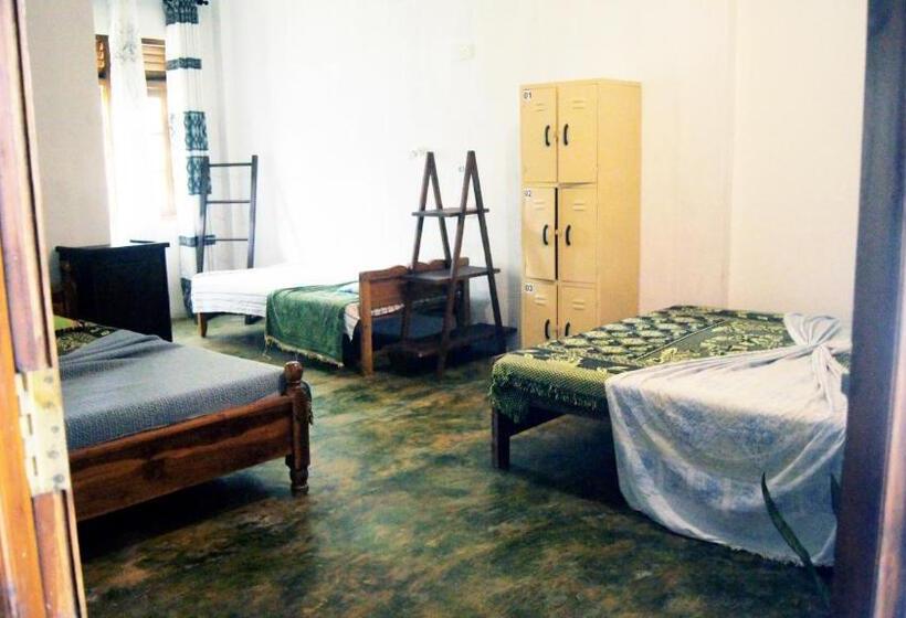 פנסיון Madiha Surf House Lanka