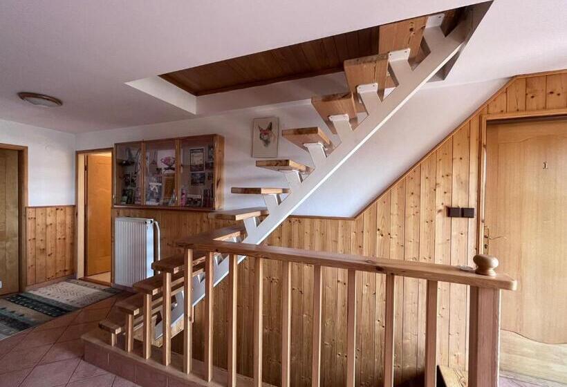 膳宿费 Penzion Petra